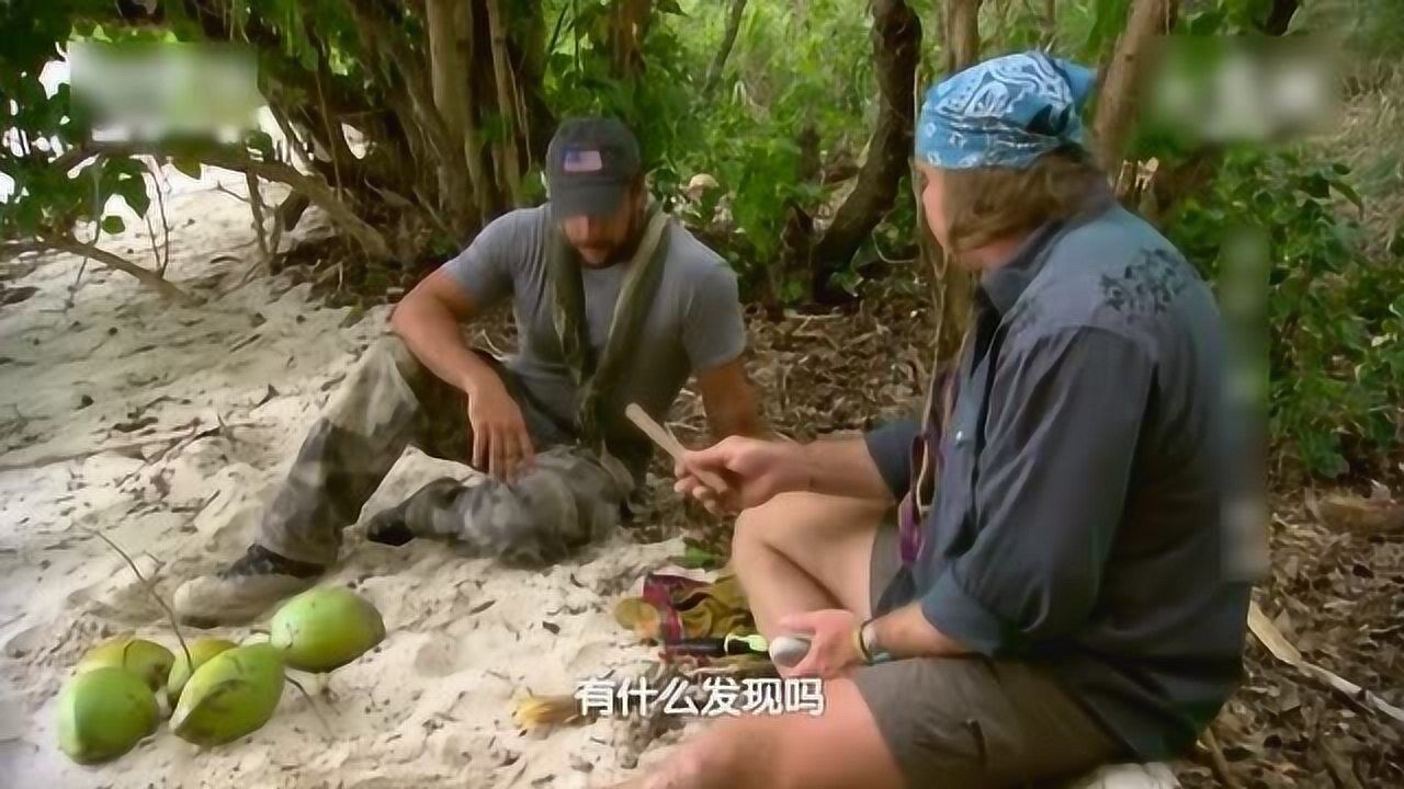 乔柯兄弟受困海岛,靠捡椰子生存,像被遗失的世界_高清1080P在线观看平台_腾讯视频