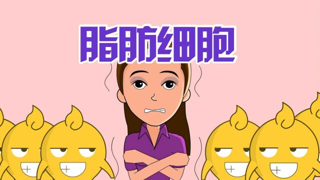 单飞网搞笑视频《六点半动画》之《脂肪细胞》