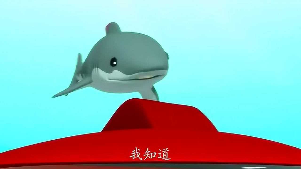 海底小纵队大白鲨是牙痒了吧什么都咬