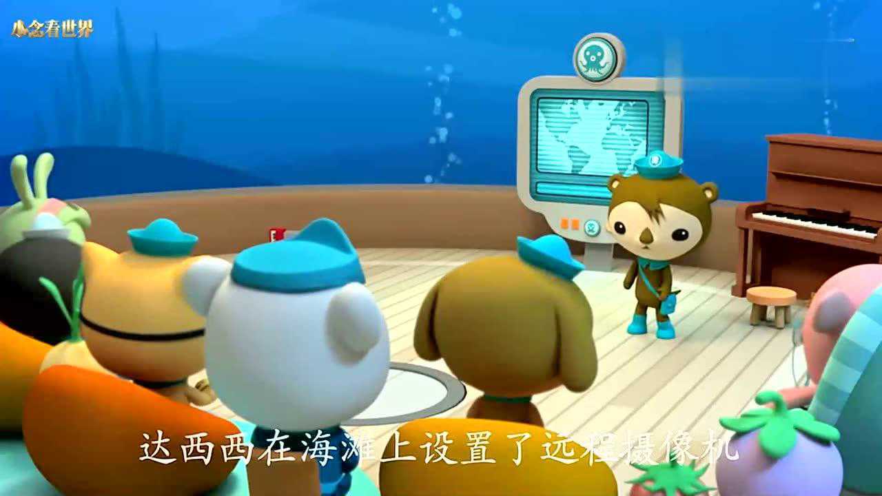 海底小纵队大半夜的小纵队不休息在偷窥海龟宝贝