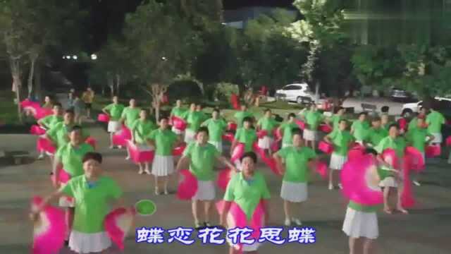 《语花蝶》蝶恋花无悔,花盼蝶相陪!蝶吻花沉醉!