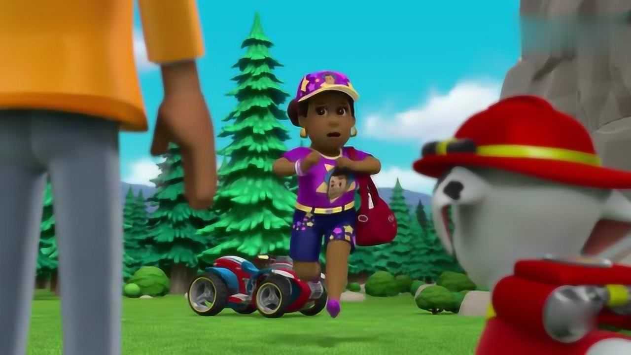 汪汪队立大功 歌手路克