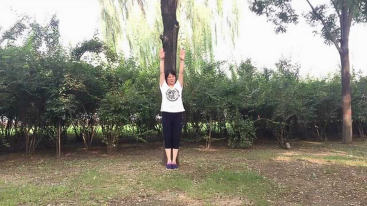 背靠大树健身,身体挺直,双臂环绕摇摆,活动肩部经络_高清1080P在线观看平台_腾讯视频