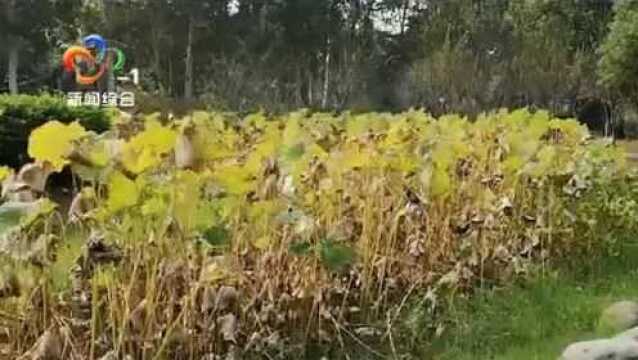 武汉:中心城区首个湿地科普馆在解放公园开馆