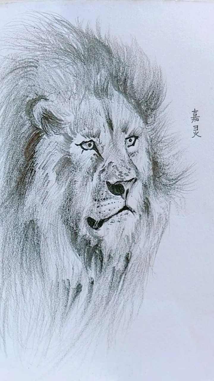 简单几笔画出一头威猛的雄狮