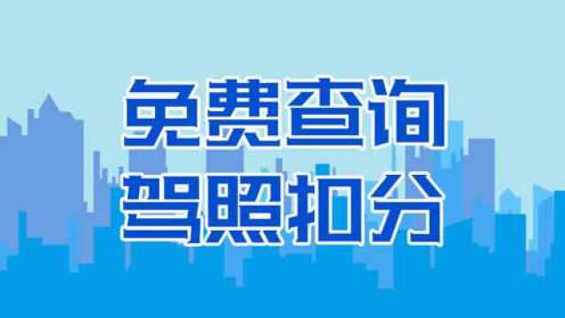 如何免费快速查询驾照扣分情况,了解一下?