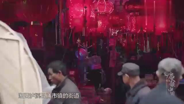 中国猪界最硬骨头, 煲汤极品: 湘西铁骨猪!