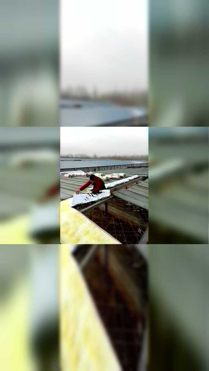 高清1080P在线观看平台_腾讯视频