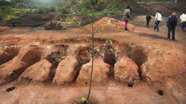 乱坟岗中有十七座荒坟,从墓中出土两枚印章,竟证明是秦始皇女儿