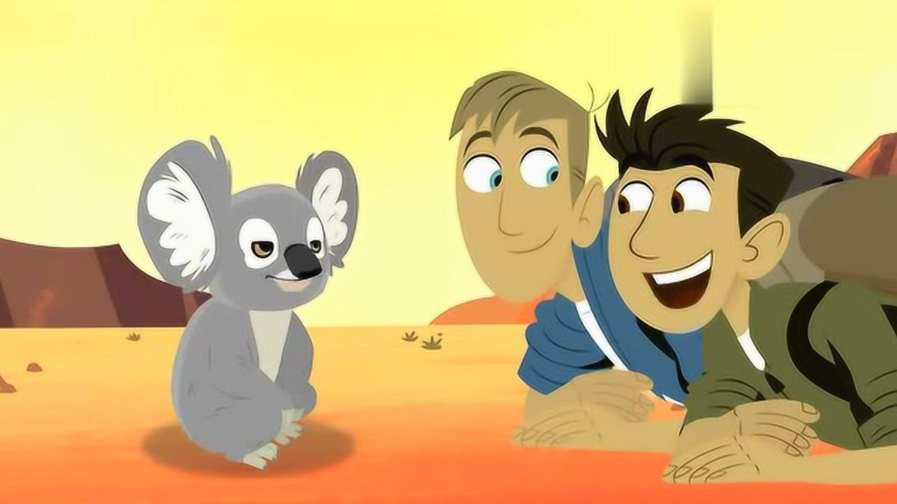 动物兄弟考拉吃的树叶竟是有毒的吉米吓得赶紧扔掉