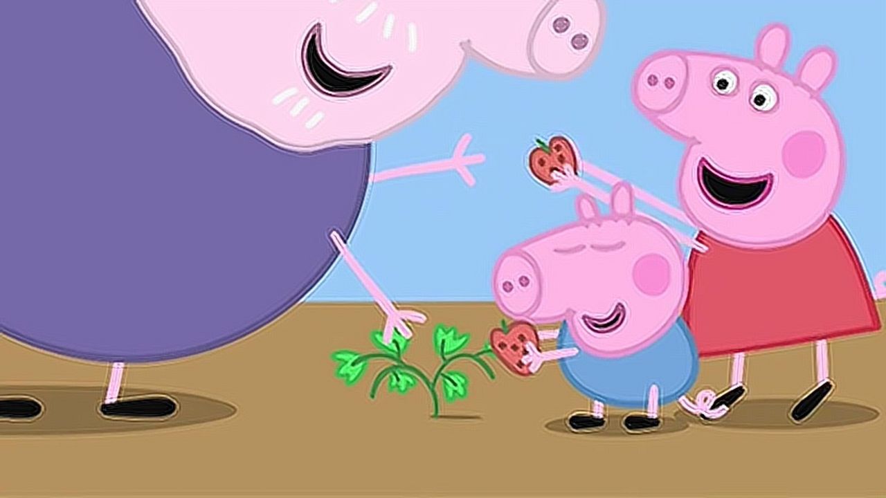 小猪佩奇佩奇种的草莓苗长出两颗草莓佩奇和乔治吃到草莓很开心