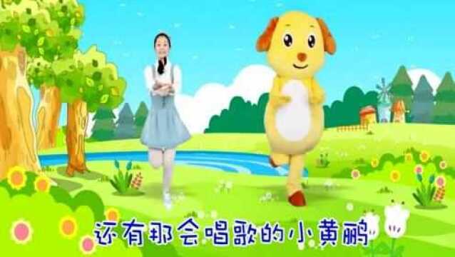 经典儿歌大全:小蜜蜂嗡嗡酿蜜忙