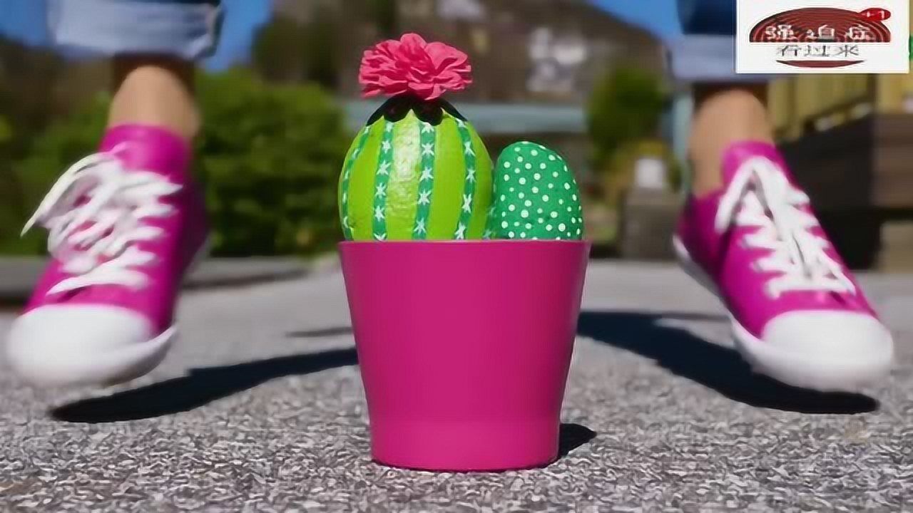 创意手工恶作剧水杯diy成超萌盆栽石头装扮成多肉了解下