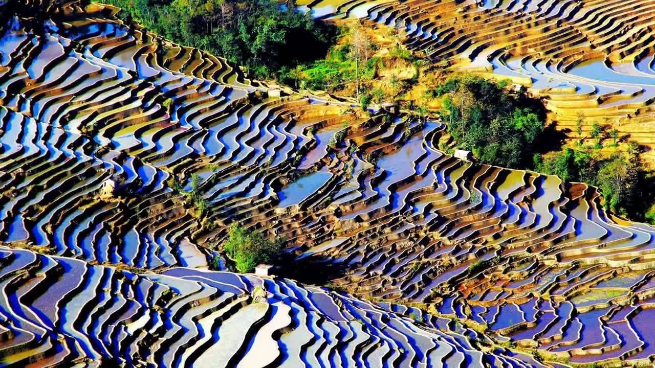 歌曲mv西游记遇仙孔雀台