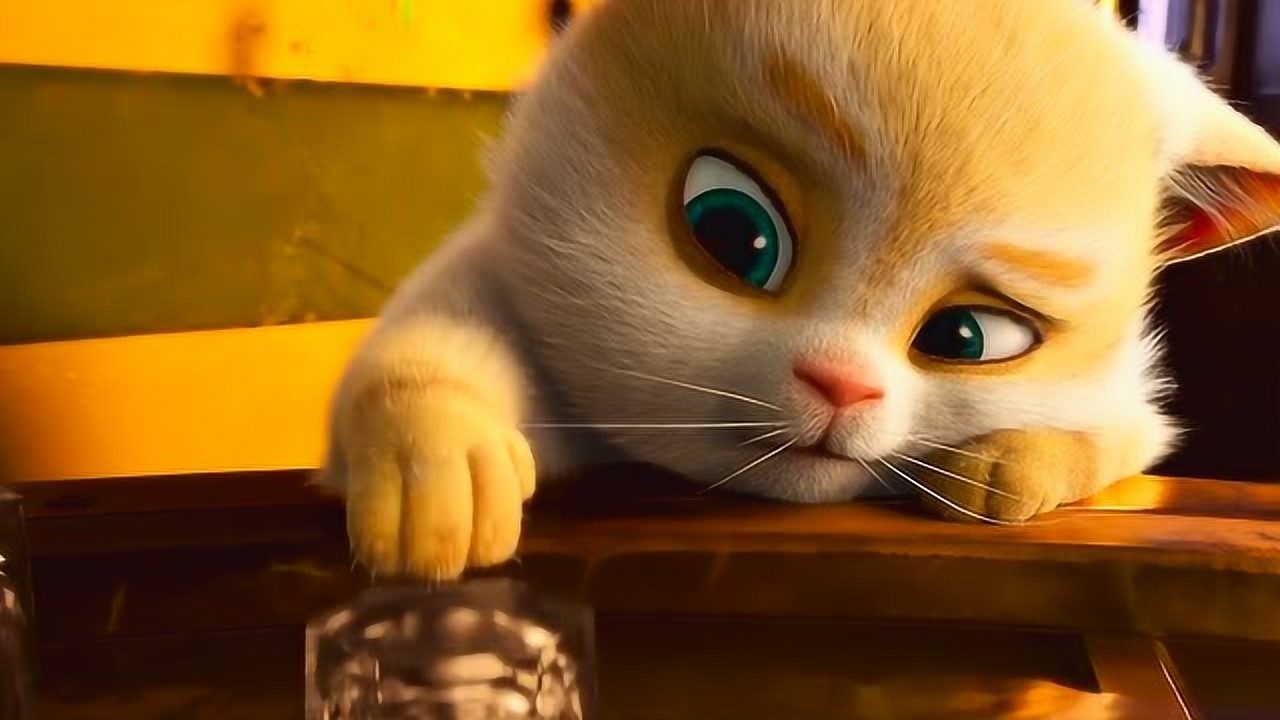 萌宠大作战!这部中国动画不比迪士尼差