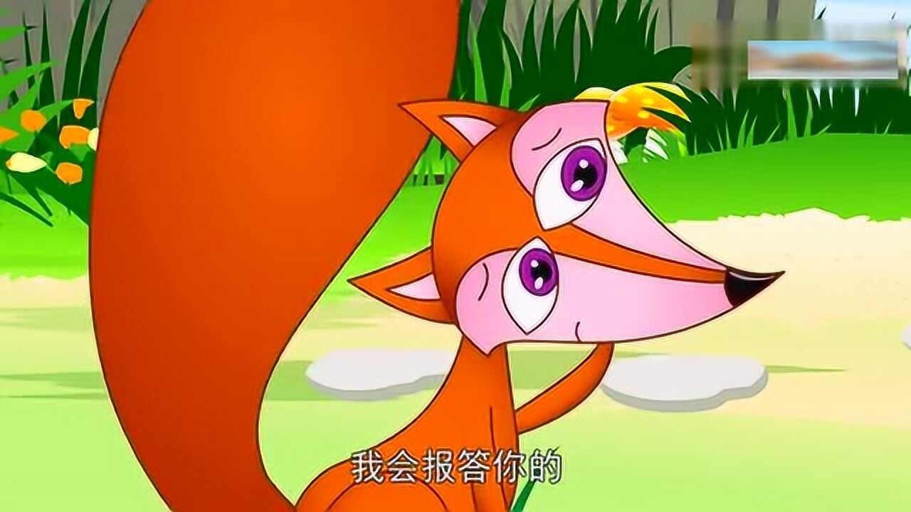 儿童童话故事《小海兔》