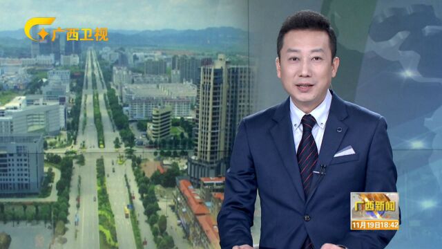 崇左:深度融入“一带一路”建设