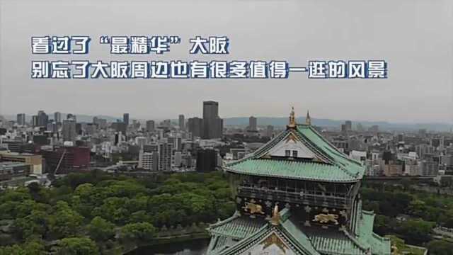 日本关西全攻略:两分钟告诉你去关西玩什么