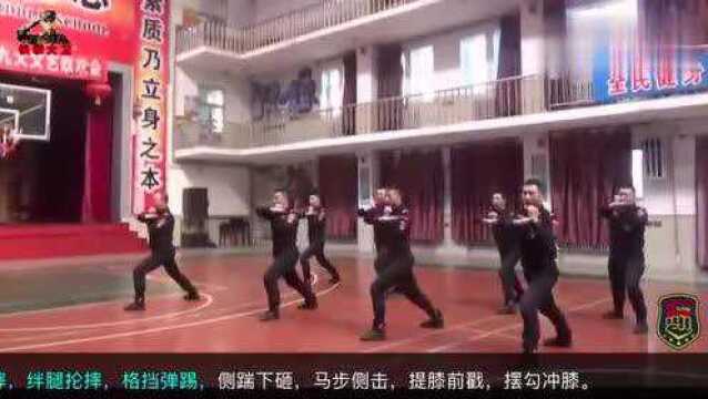 实拍:特警演示擒敌拳,动作整齐划一干脆利落!