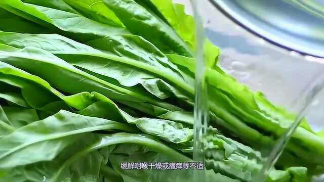 油麦菜便宜又好吃,这5个养生功效很强大,吃到就等于赚到