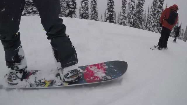 Never Summer Swift  Powder Board Reviews 20182019