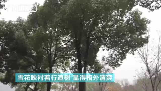 南京迎入冬首场降雪大雪节气雪花飞舞尽显“冰雪浪漫”