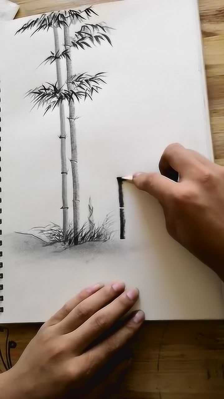 大画家素描竹子图片图片