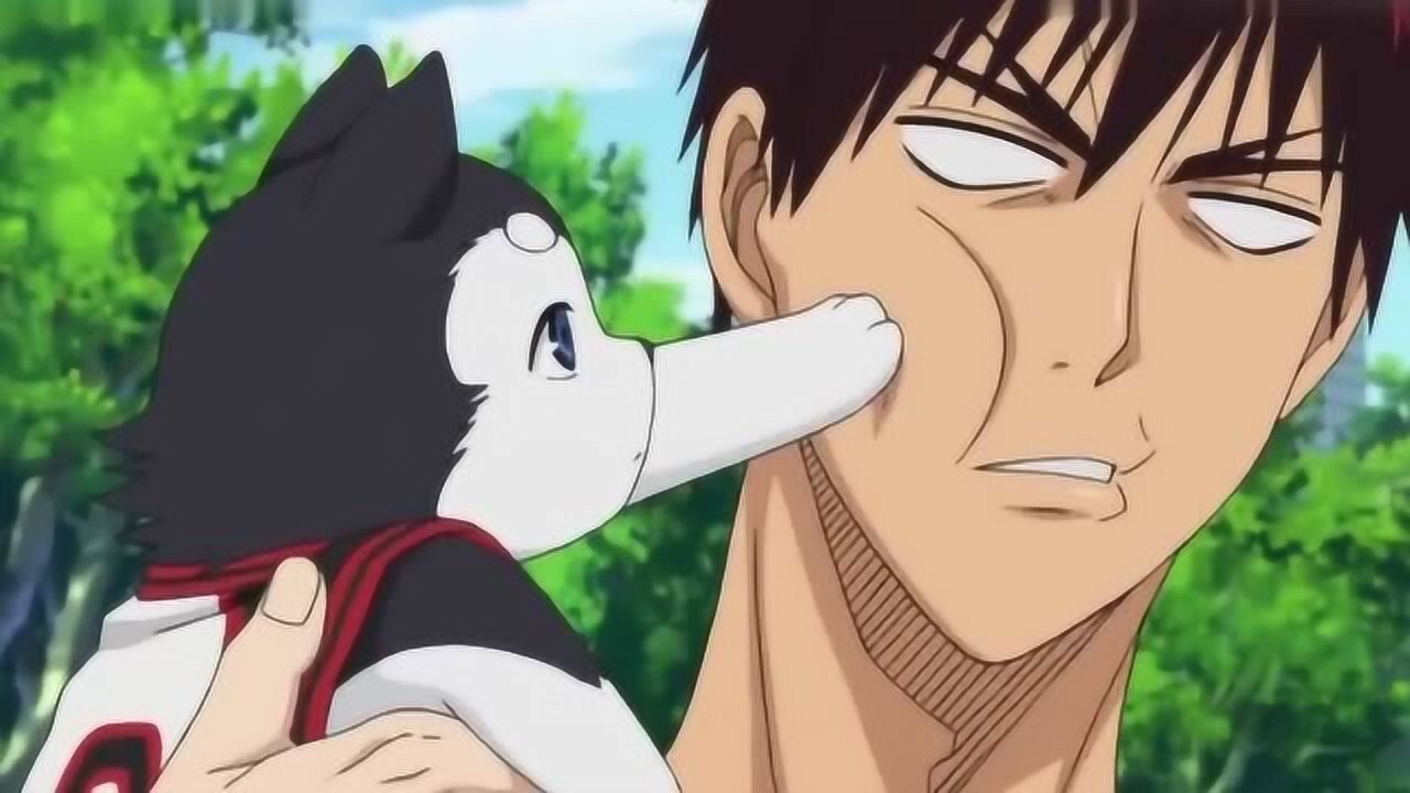 黑子的篮球:火神怕狗……不料黑子竟拿着狗狗二号怼他!真是太逗了!