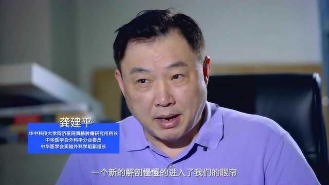 龚建平:科学重塑外科,膜解剖使癌症根治更彻底