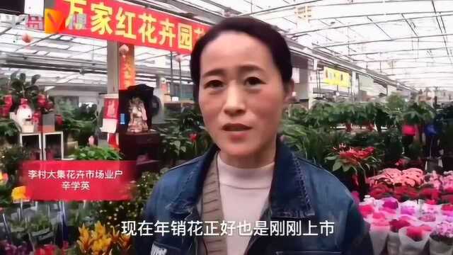 冬天里的“春色”