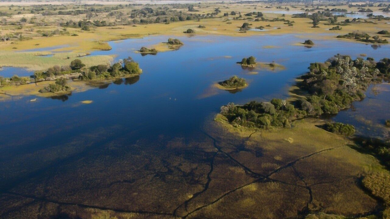 世界上最大的"沼泽地",进去除非有向导,否则就很难走的出来