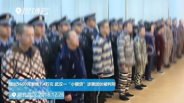 借出5600元索债7.4万元 武汉一“小额贷”涉黑团伙被判刑