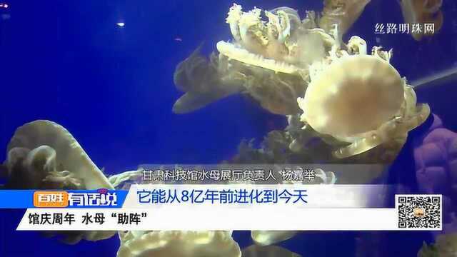 甘肃科技馆庆周年 水母“助阵”