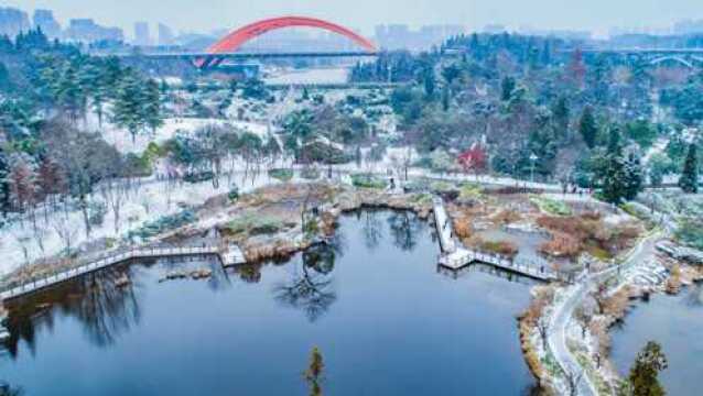 贵阳近几年最大的一次下雪,到处白茫茫,观山湖公园雪景更美