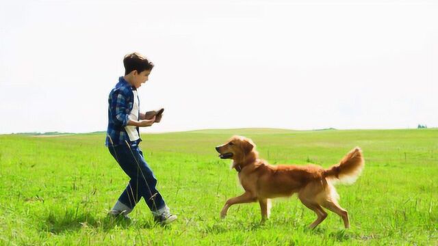 在KTV唱什么歌?用这首简单好学的口哨英文歌,一准没错