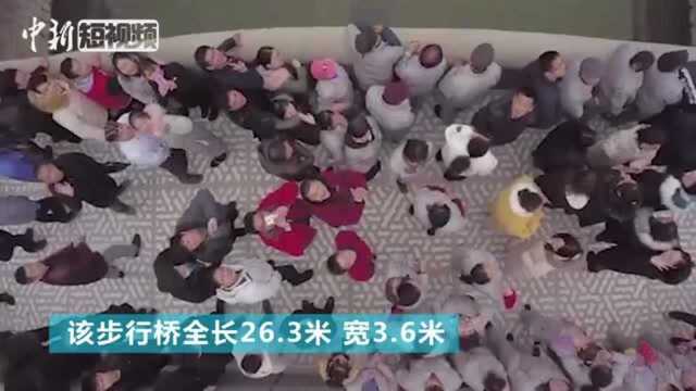 全球最长3D打印桥上海落成敢不敢去走走?