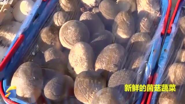 莘县朝城年货大集火热开集 风味美食都在这里