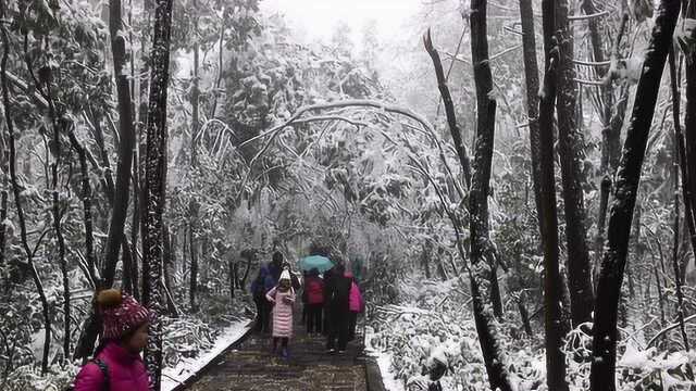 111集 行走在雪霜长廊之中,就像童话一般