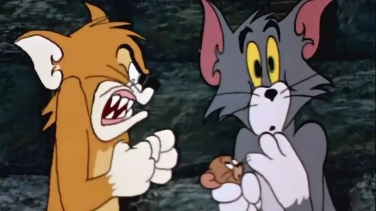 猫和老鼠消失的第22集