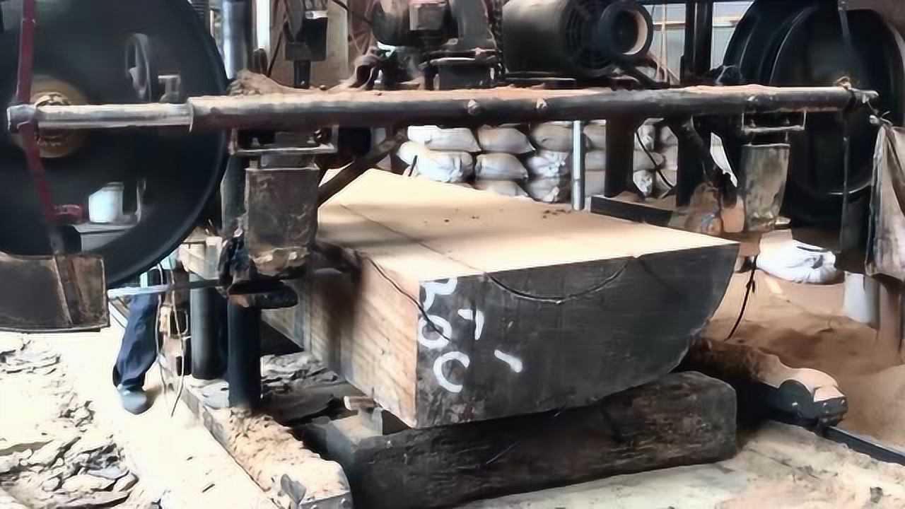 看大型锯木机如何锯开参天巨树,不是吹的,这组设备要不少钱吧