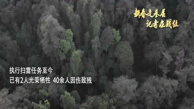 云南边境扫雷仍在继续