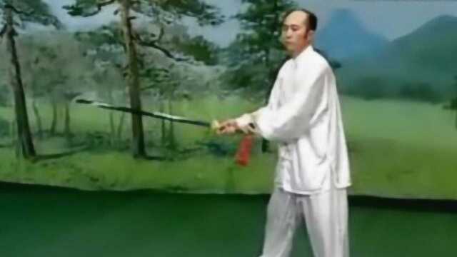 北京太极梅花螳螂拳剑,动作短小精悍,师傅好身手!