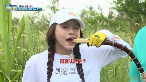 韩国明星看到甘蔗不认识，习惯性咬一大口，这次还真咬不动！