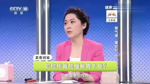 健康之路:胃下垂了怎么办?看专家教您用黄芪来缓解,您学会了吗