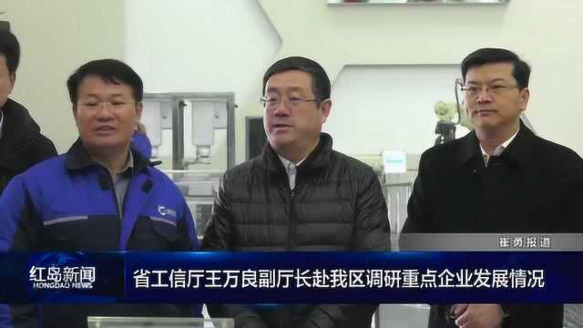 红岛新闻:省工信厅王万良副厅长赴我区调研重点企业发展情况