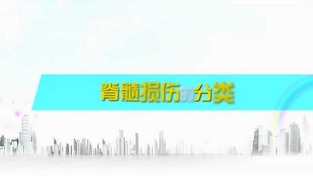 脊髓损伤的分类