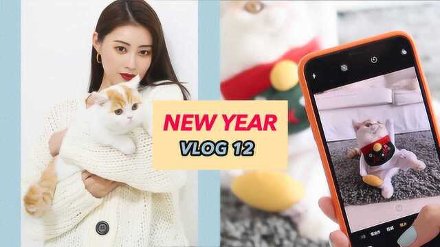 春节一周VLOG 12 超丰富!逛吃、尬舞、做抓饭 Ruby幼熙