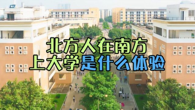 假如北方人在南方上大学,那是一种怎样的体验?