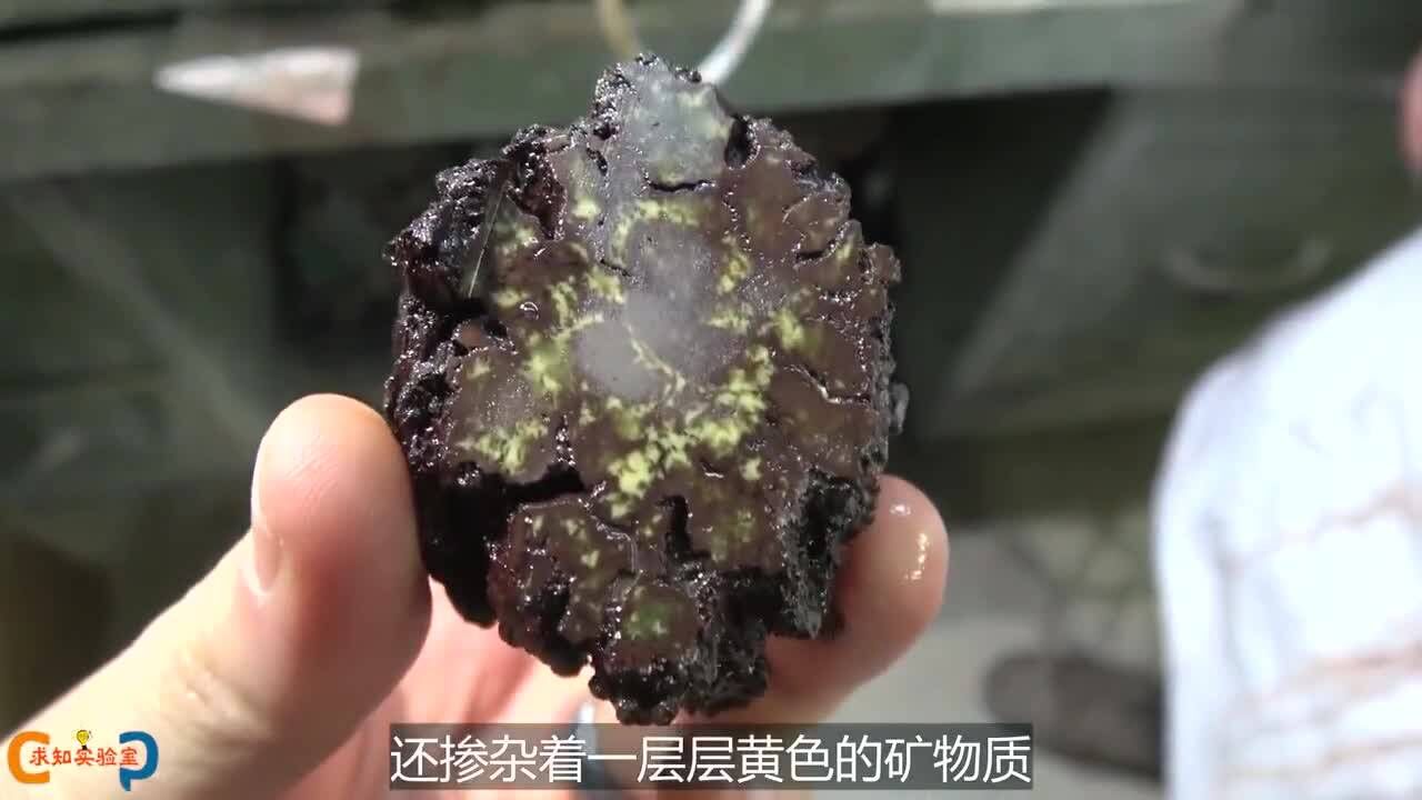 这是6500万年前恐龙粪便化石 里面究竟是什么样子