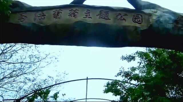 上海马陆葡萄主题公园,上海的葡萄公园